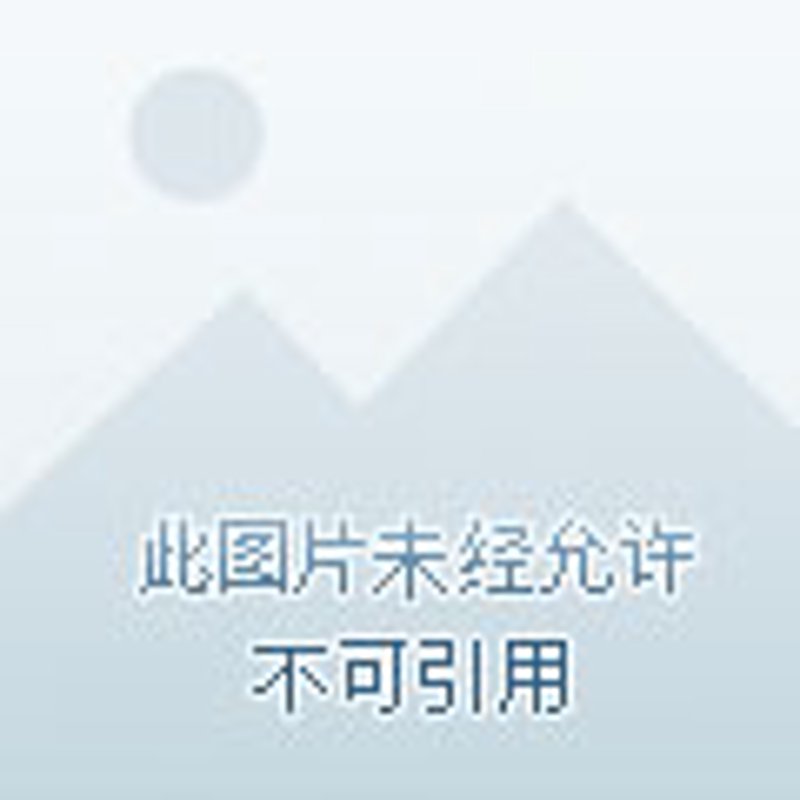 NFT市场近期波动不断，概念板块表现如何？